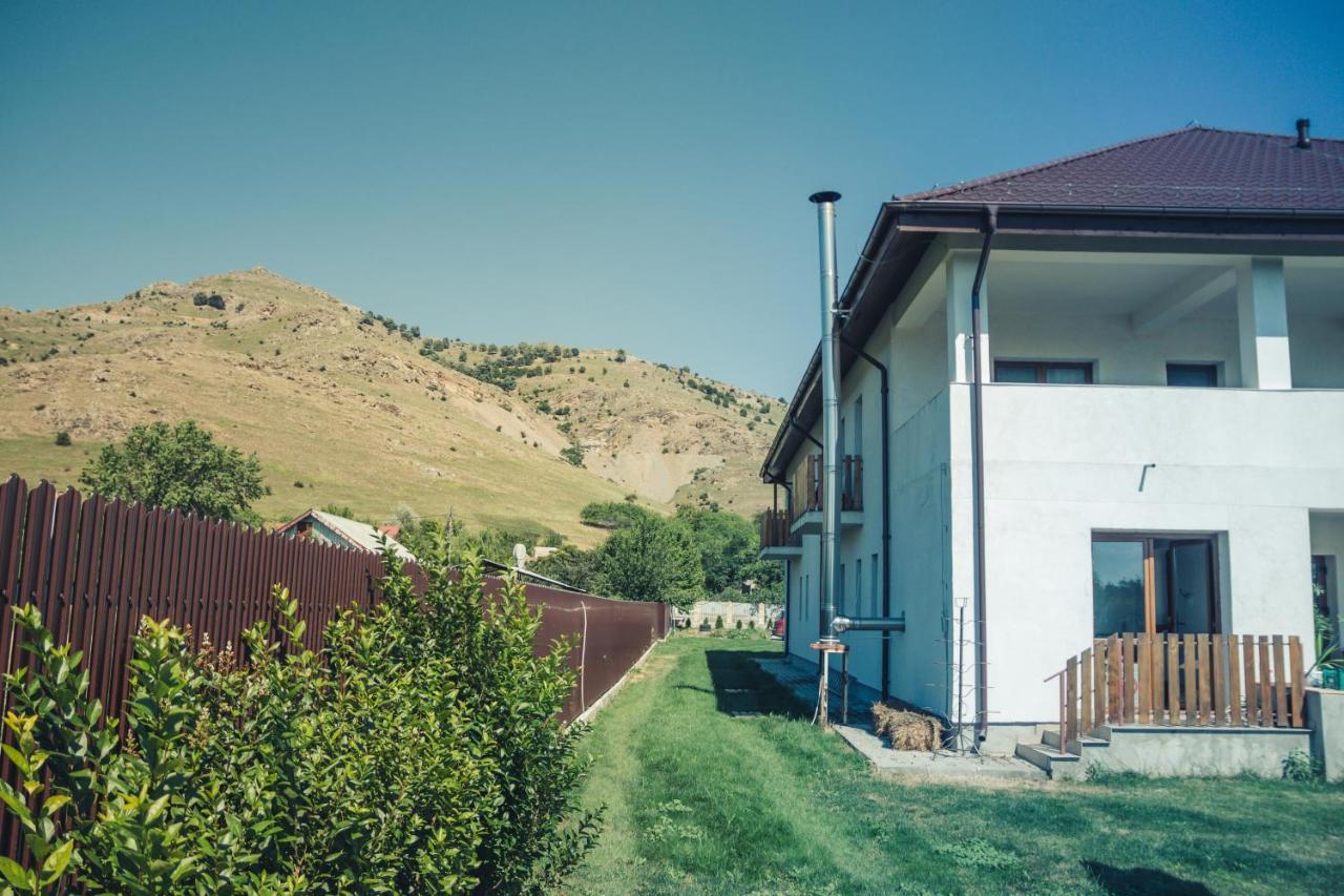 Hotel Pensiunea La Nenea Iancu Greci Esterno foto