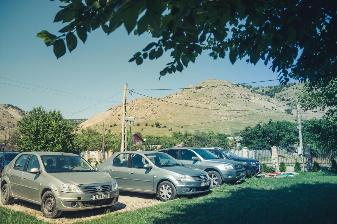 Hotel Pensiunea La Nenea Iancu Greci Esterno foto