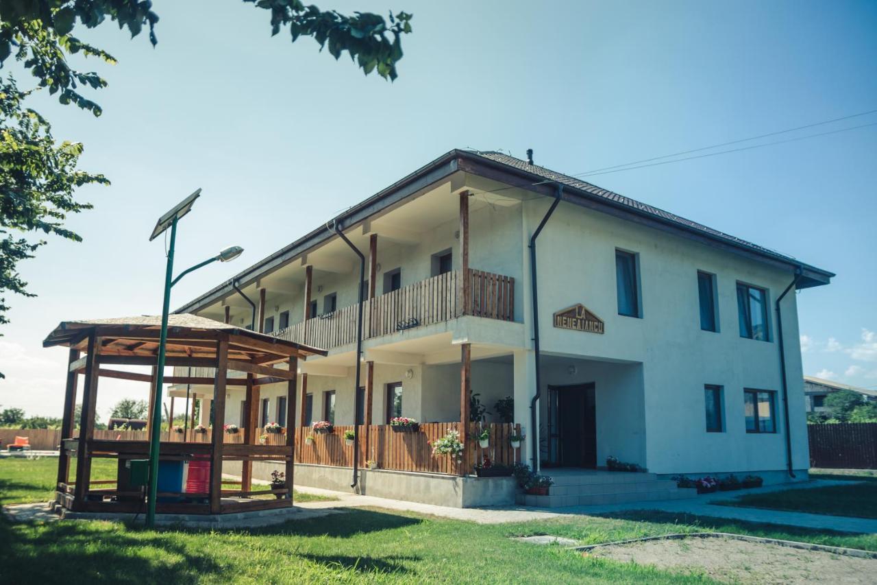 Hotel Pensiunea La Nenea Iancu Greci Esterno foto