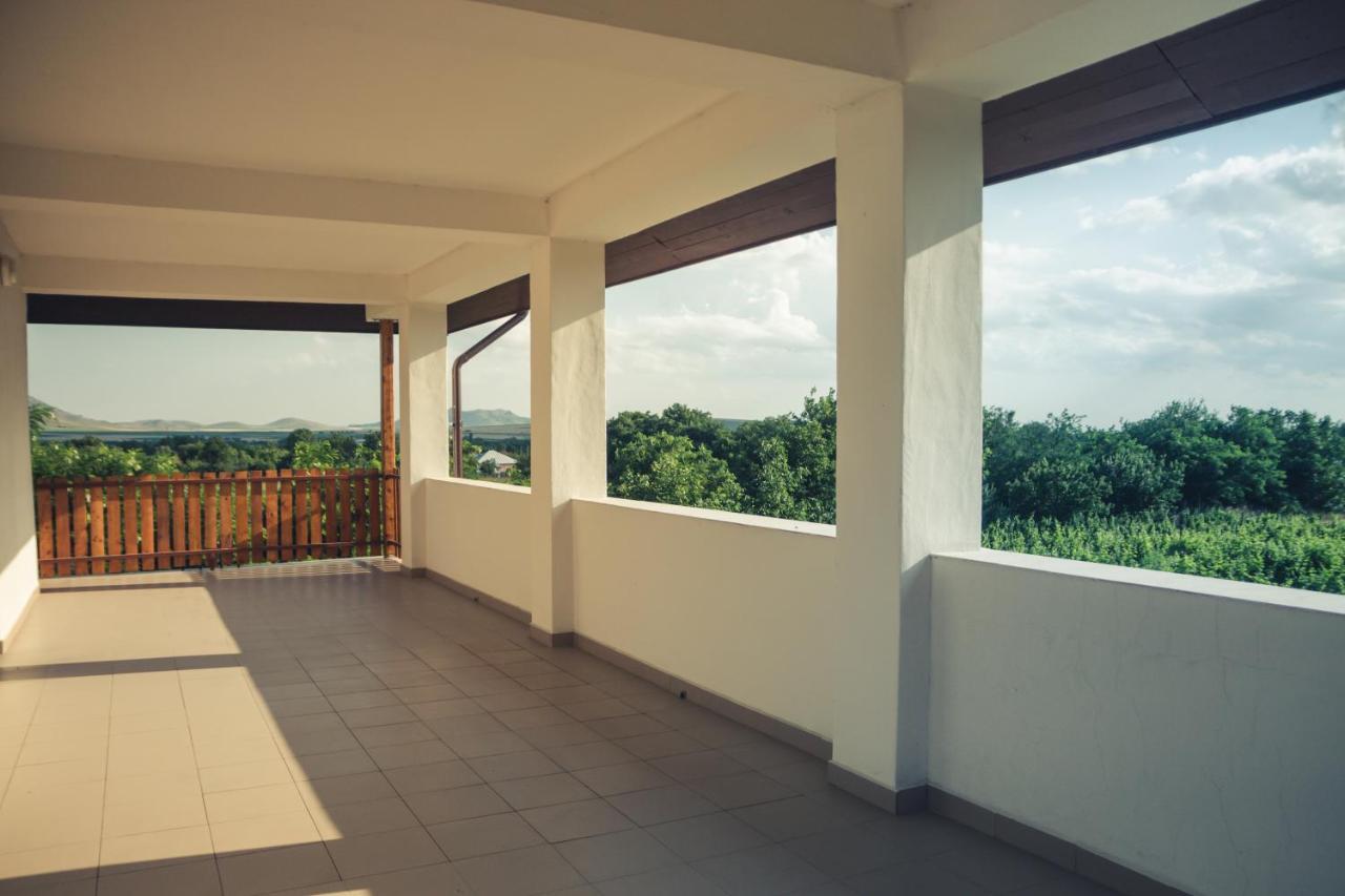 Hotel Pensiunea La Nenea Iancu Greci Esterno foto